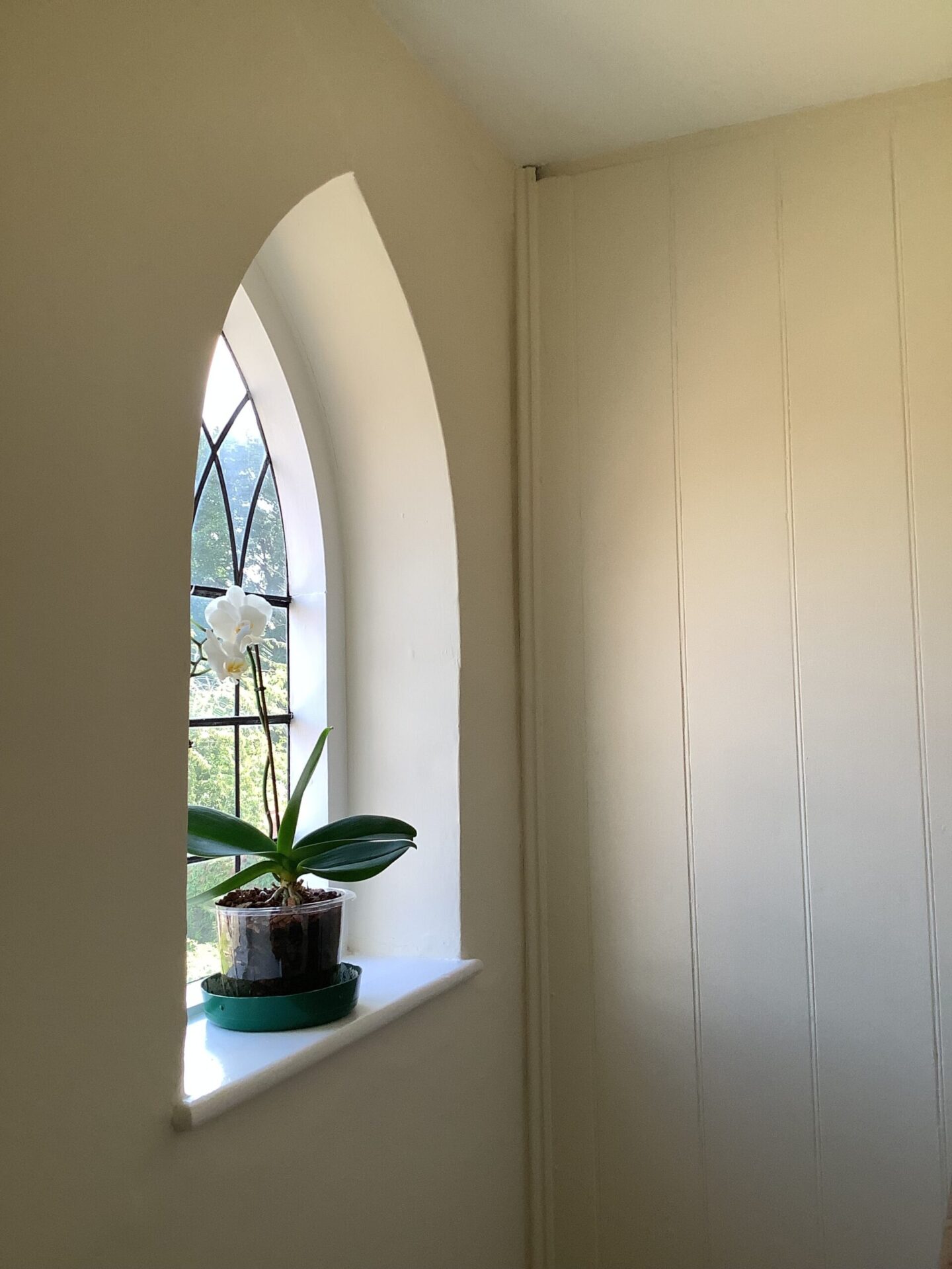 Inside window view of arched and crossed church like windows with flower